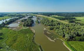 Needed: Strong tree fort along riverbanks