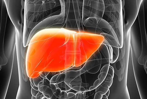 Understanding toxic-induced liver diseases 
