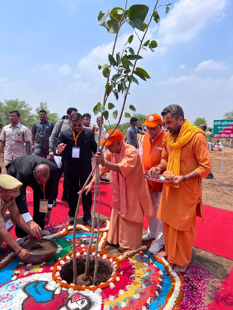 वन विभाग का सर्वाधिक पौधारोपण करने का दावा 