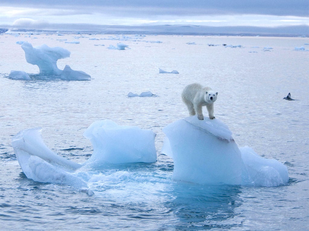 Climate change hits ‘freezing point’