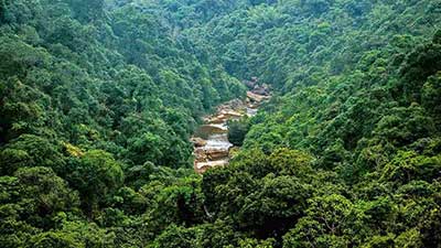 The curious case of a bill on forest conservation
