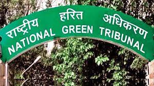 Delhi parks causing air, water pollution: NGT