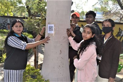QR coding of trees is latest way of protecting them