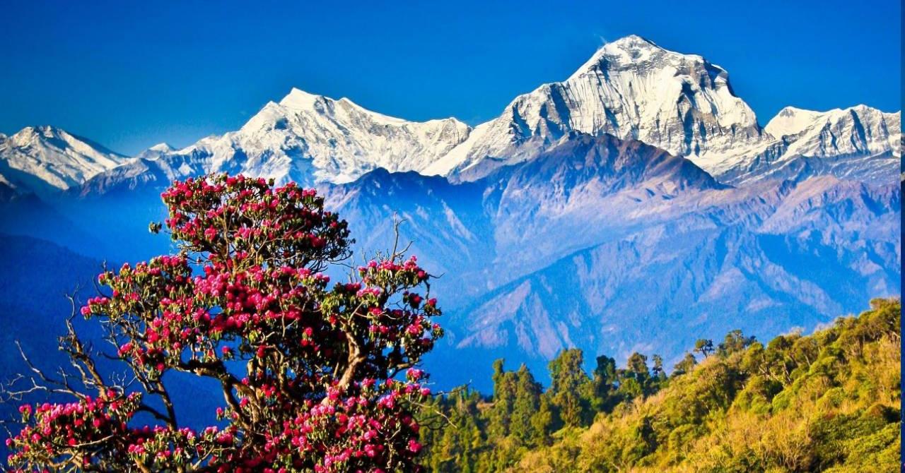 Himalayan blunders that are utterly ravaging