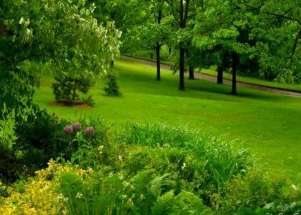 Green spaces reduce crimes in neighbourhoods                                       