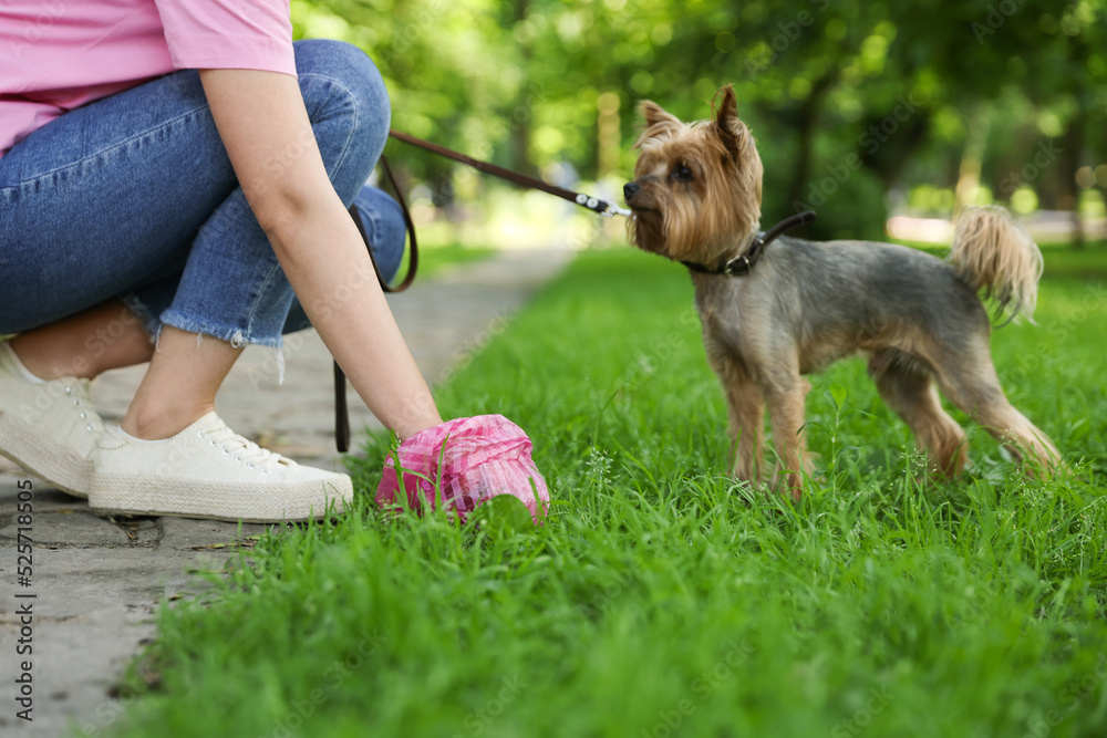 …& she picked up the poop!