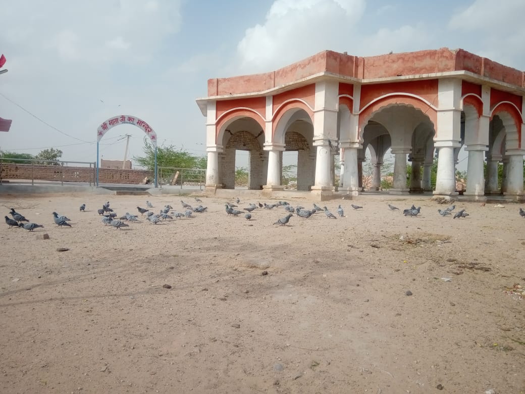 An ecological niche at Kodamdesar temple