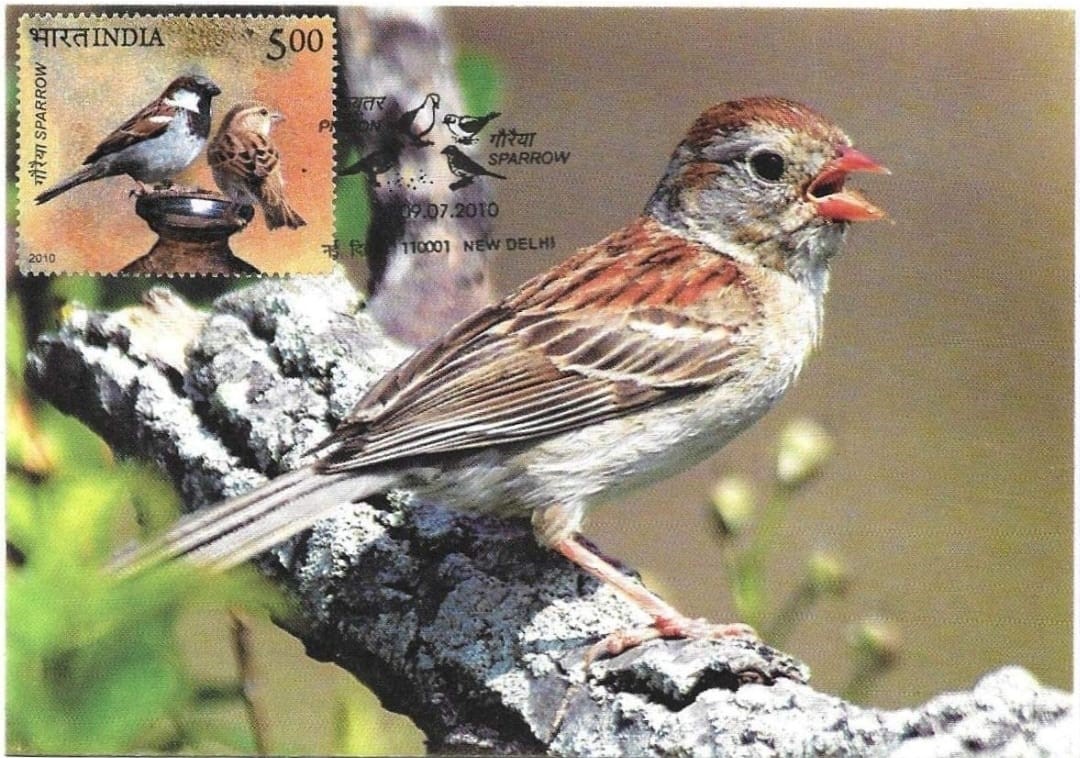 Commemorating sparrows in the world of philately