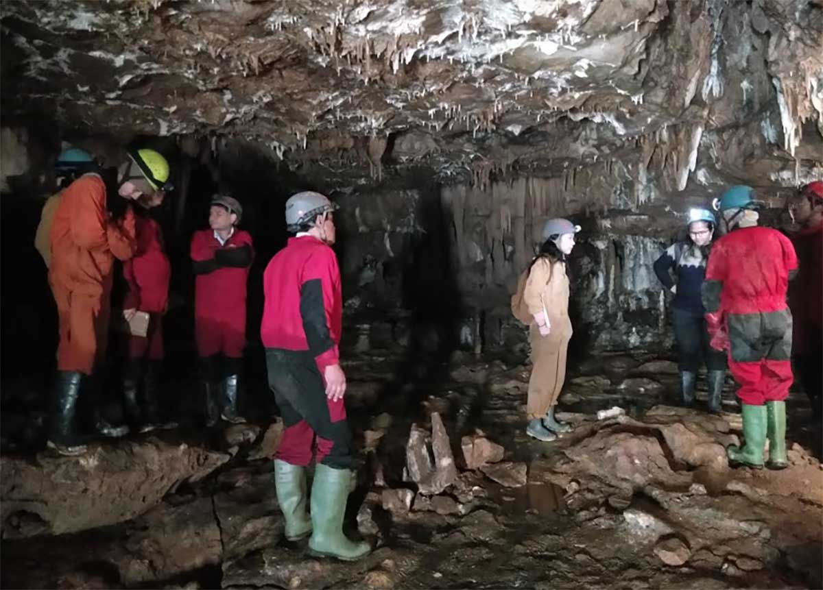 Meghalayan plateau: A geological marvel under ecological threat
