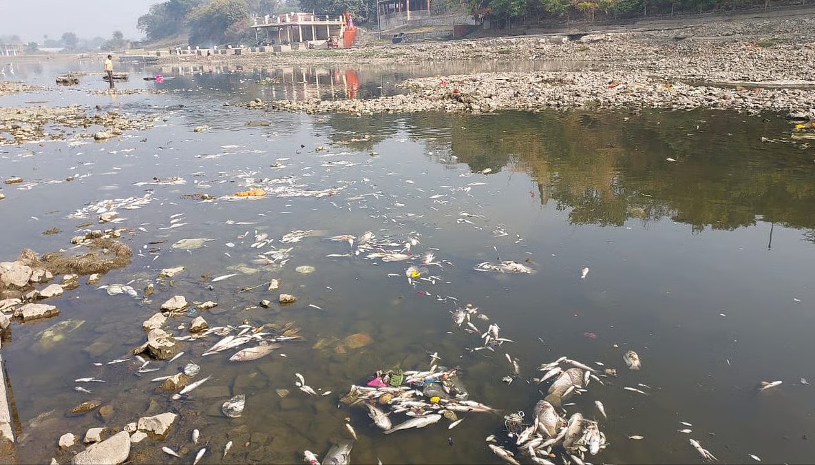 Shipra in MP: Another holy river in death throes 