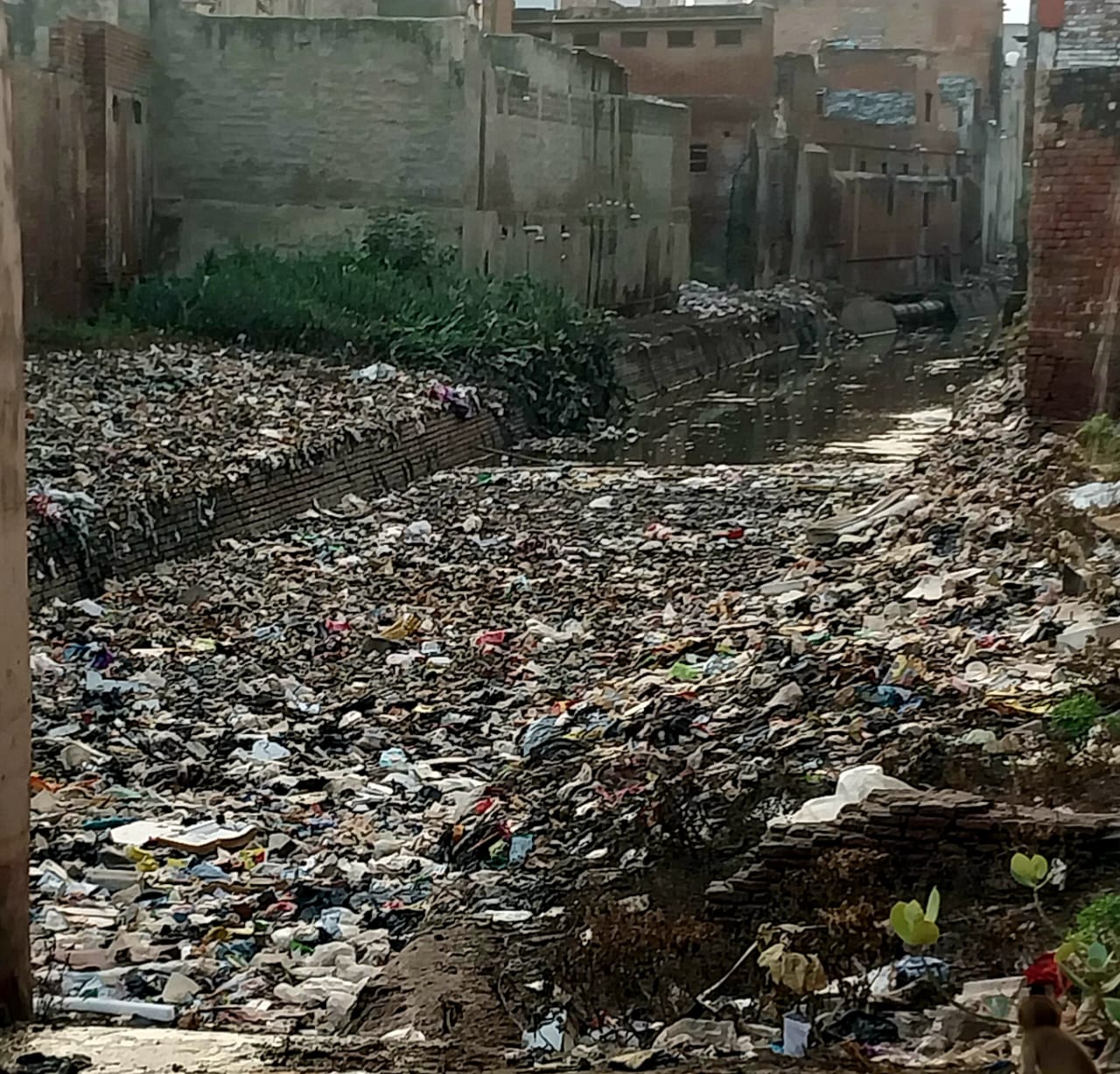 यमुना संरक्षण के लिए आगरा, मथुरा और वृंदावन में गाद और मलबे की सफाई जरूरी