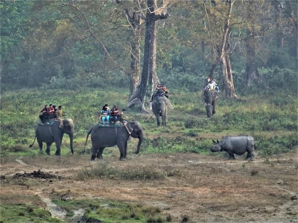 Ecotourism: Conserving nature, benefiting locals 