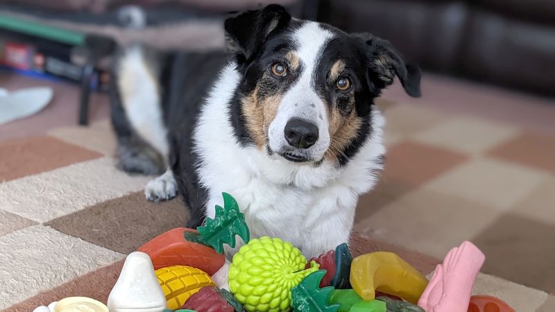 My eavesdropping dog