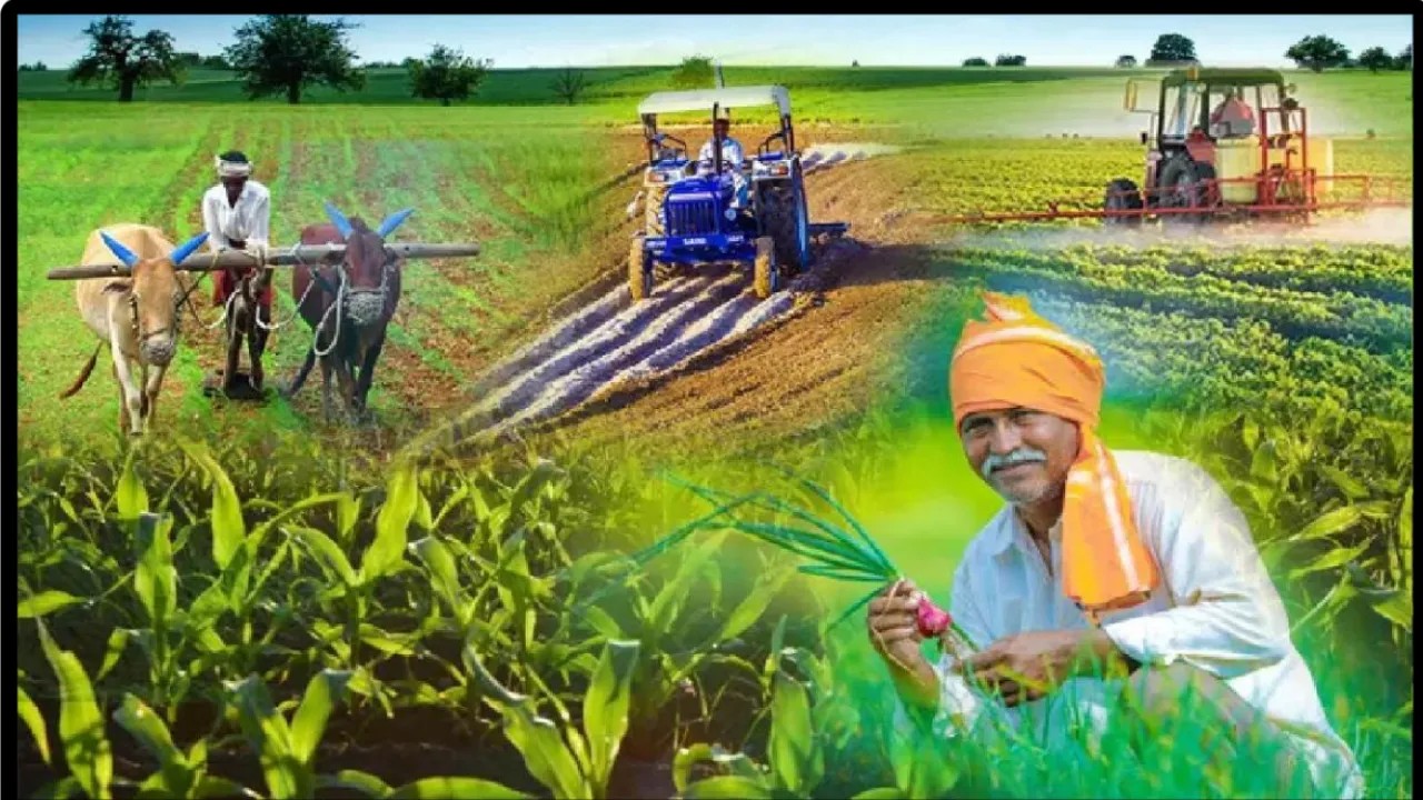 बुन्देलखण्ड की कृषि में औषधीय पौधों की सम्भावनायें एवं चुनौतियाँ