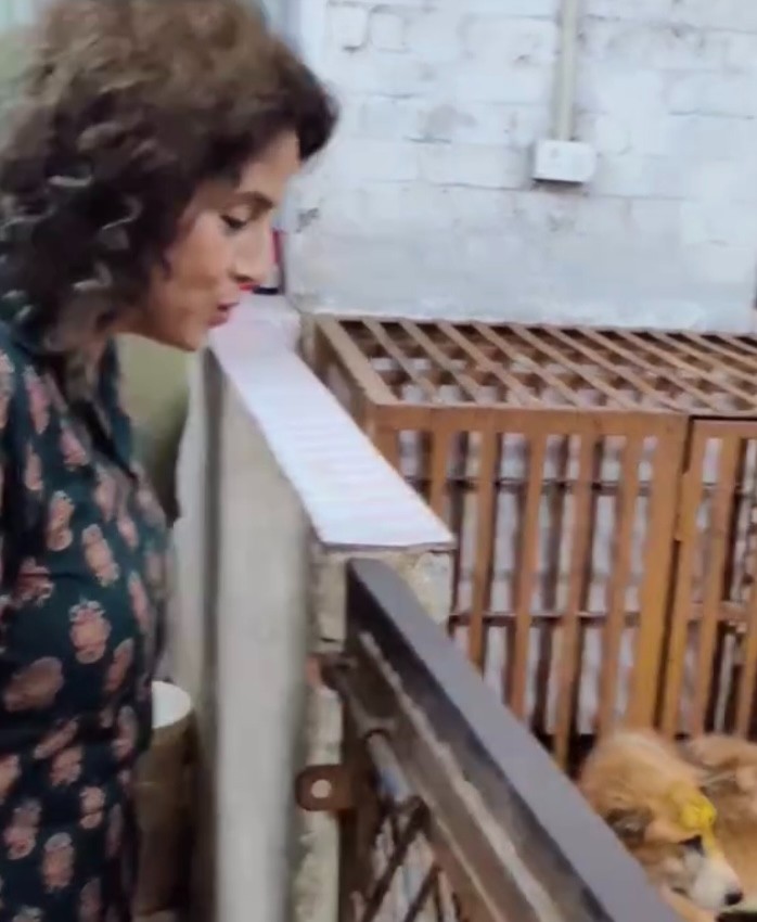 विश्वास खंड के प्रहरी