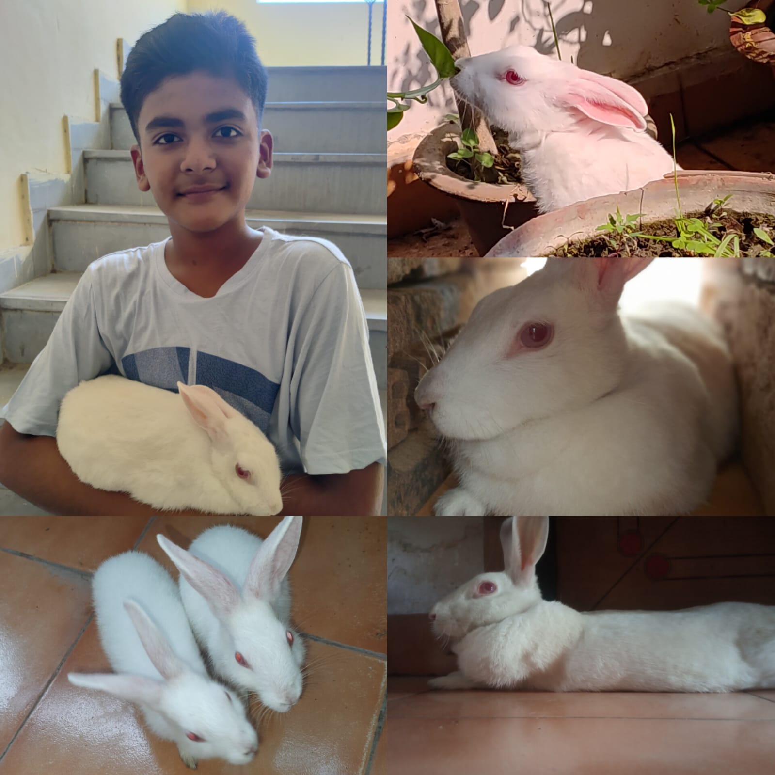 My bond with Chubby and Rabee