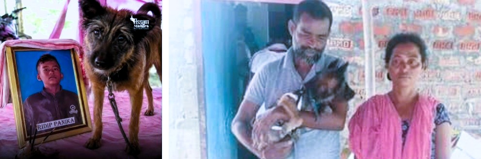 Ultimate Sacrifice of Love: 13-Year-Old Hridip Panika Drowns to Save His Puppy in Assam Floods