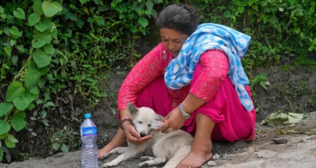 Nepal Flood Dog Rescue Report