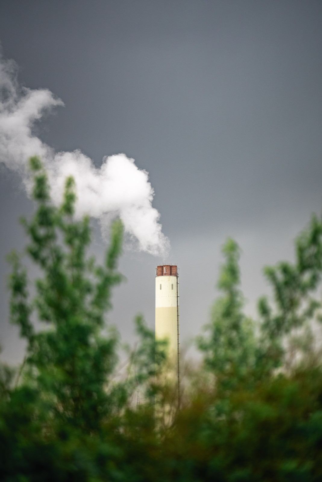 Carbon markets in India: Promise, profit and the question of trust