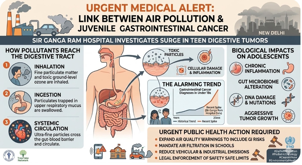 Medical experts launch emergency inquiry as severe air pollution is linked to surge in juvenile gastrointestinal cancers