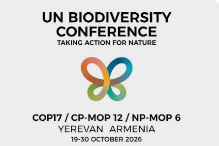 Global Business Coalition Issues Severe Warning Ahead of UN Biodiversity Summit