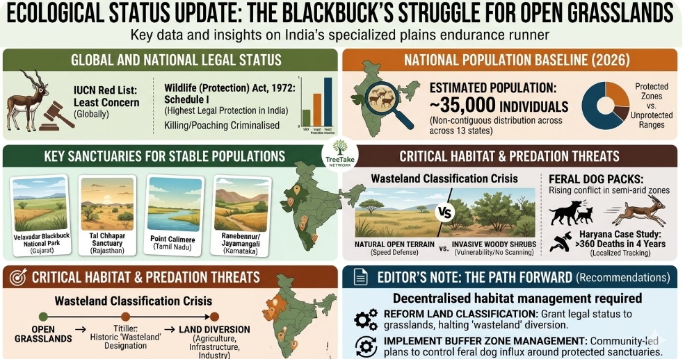 Survival of the blackbuck remains critically dependent on vanishing natural grassland ecosystems