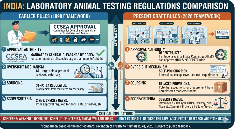 Maneka Gandhi condemns draft regulations easing laboratory animal testing approvals