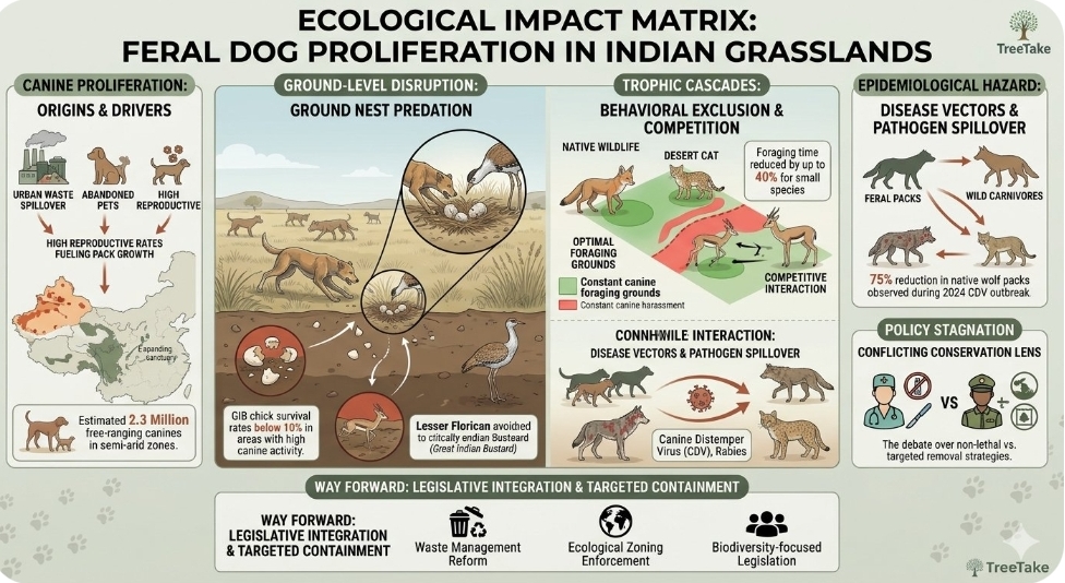 Feral canine proliferation in rural frontiers driving critical biodiversity cascades in Indian grasslands