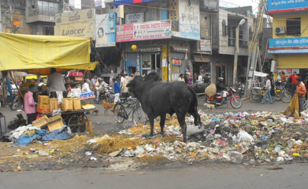 India’s mounting garbage problem requires inventive solutions