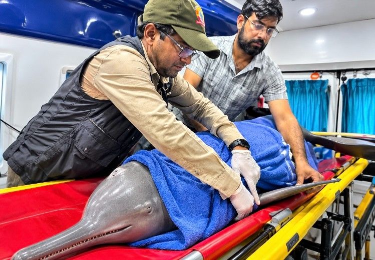 परतावल में गंगा की बेटी का जीवन बचाने की अद्भुत कहानी