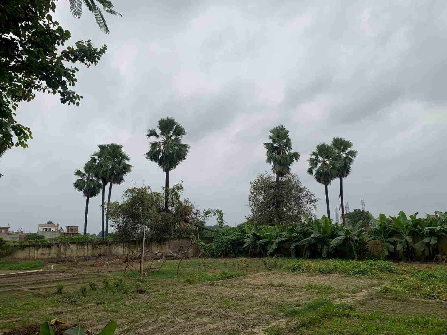 From the Bay of Bengal to the Skies of Lucknow: Cyclone Arnab and the Dramatic Transformation of October Weather