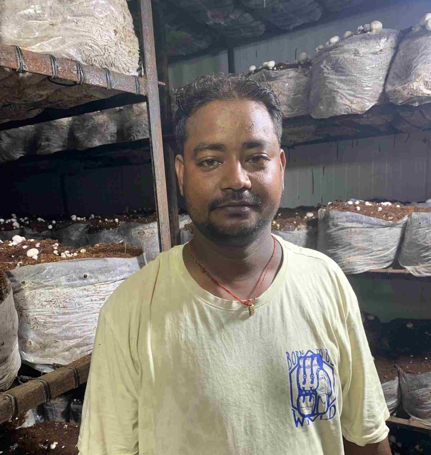 रुद्रपुर में मशरूम की खेती का नया अध्याय