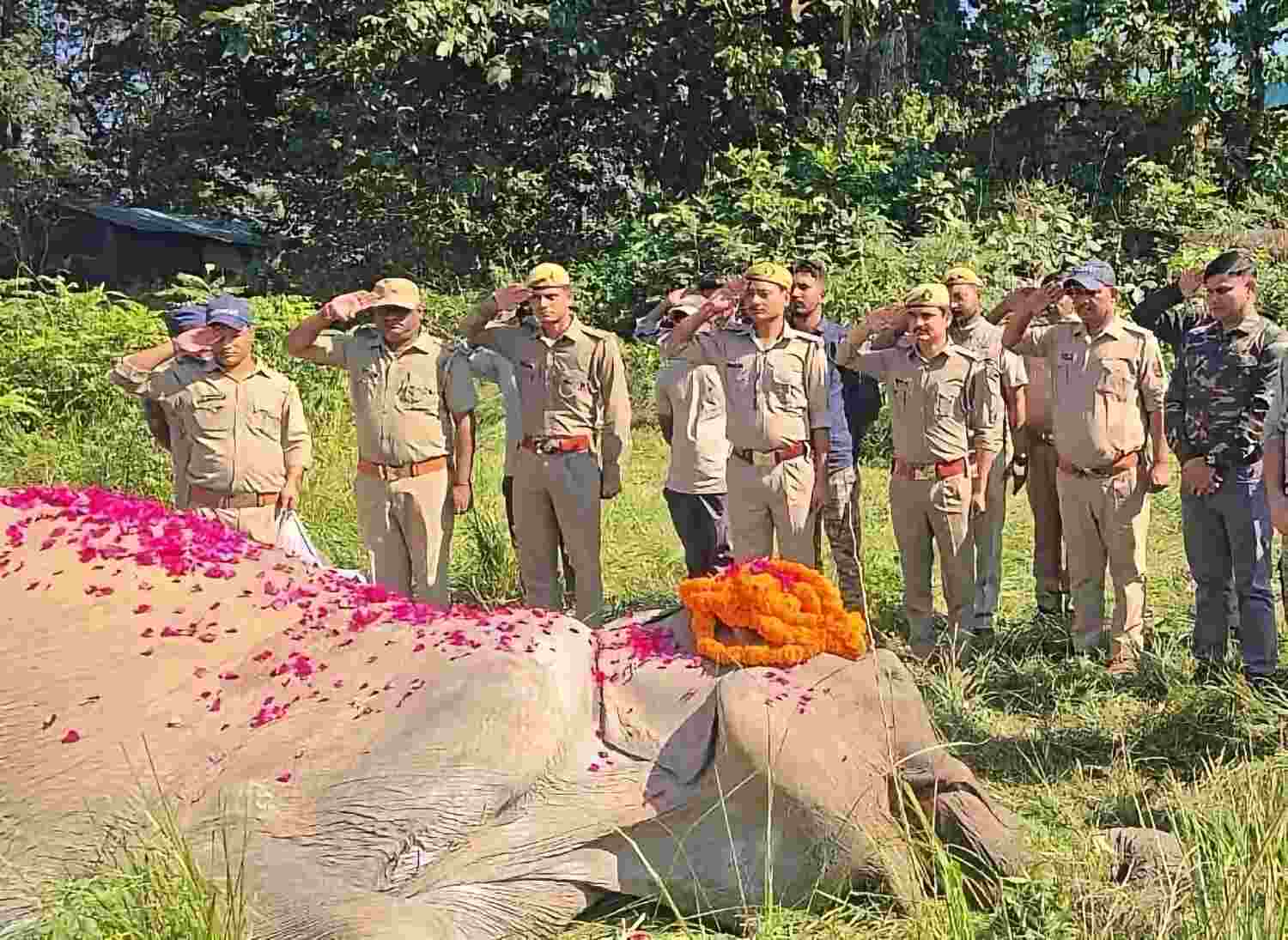 Farewell, Sonakali… The Braveheart of Corbett, an Immortal Story of Courage! 