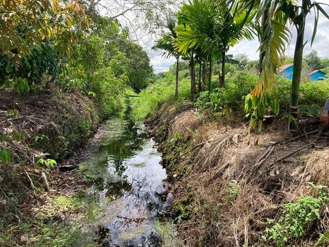 Commercial upland drainage projects accelerate greenhouse gas emissions across northern peatland reserves